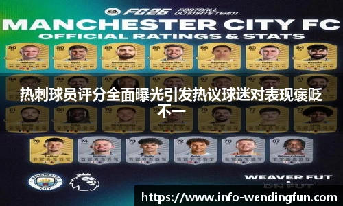 热刺球员评分全面曝光引发热议球迷对表现褒贬不一