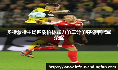 多特蒙特主场迎战柏林联力争三分争夺德甲冠军荣耀